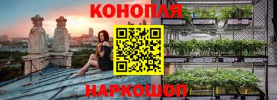 дмт Заводоуковск